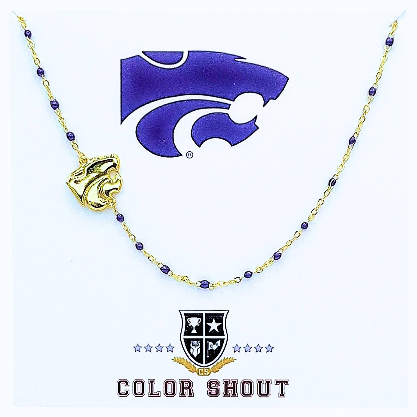 The College Logo Necklace: Side Set Logo on Enamel Bead Necklace: TCU